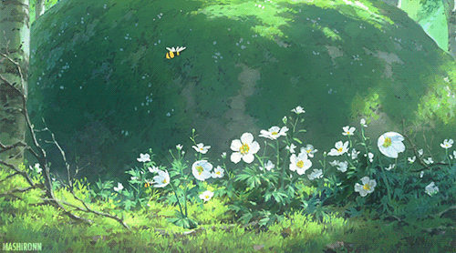 Moots